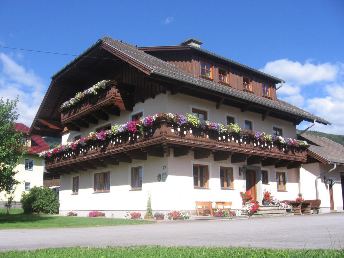Standlhof Apartment Mariapfarr Luaran gambar